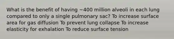 What is the benefit of having ~400 million alveoli in each lung compared to only a single pulmonary sac? To increase surface area for gas diffusion To prevent lung collapse To increase elasticity for exhalation To reduce surface tension