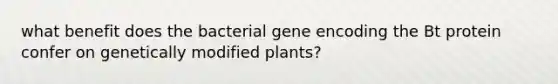 what benefit does the bacterial gene encoding the Bt protein confer on genetically modified plants?