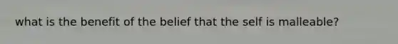 what is the benefit of the belief that the self is malleable?