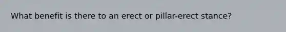 What benefit is there to an erect or pillar-erect stance?