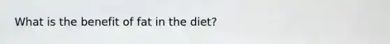 What is the benefit of fat in the diet?