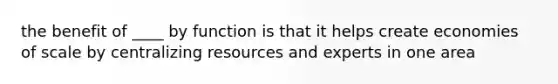 the benefit of ____ by function is that it helps create economies of scale by centralizing resources and experts in one area