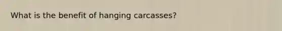 What is the benefit of hanging carcasses?