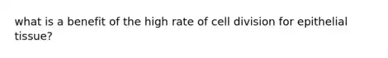 what is a benefit of the high rate of <a href='https://www.questionai.com/knowledge/kjHVAH8Me4-cell-division' class='anchor-knowledge'>cell division</a> for <a href='https://www.questionai.com/knowledge/k7dms5lrVY-epithelial-tissue' class='anchor-knowledge'>epithelial tissue</a>?