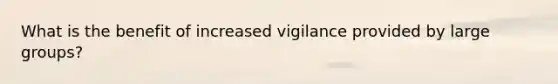 What is the benefit of increased vigilance provided by large groups?