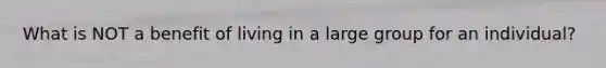 What is NOT a benefit of living in a large group for an individual?
