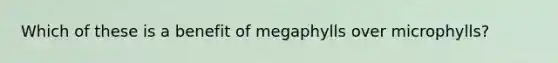 Which of these is a benefit of megaphylls over microphylls?