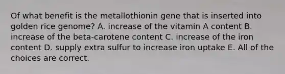 Of what benefit is the metallothionin gene that is inserted into golden rice genome? A. increase of the vitamin A content B. increase of the beta-carotene content C. increase of the iron content D. supply extra sulfur to increase iron uptake E. All of the choices are correct.