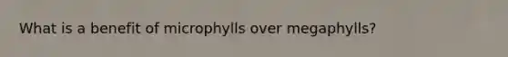 What is a benefit of microphylls over megaphylls?