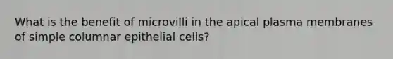 What is the benefit of microvilli in the apical plasma membranes of simple columnar epithelial cells?