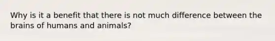 Why is it a benefit that there is not much difference between the brains of humans and animals?