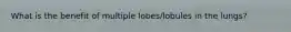 What is the benefit of multiple lobes/lobules in the lungs?