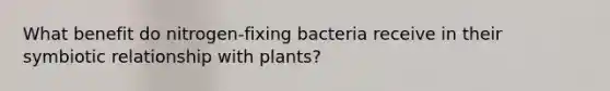 What benefit do nitrogen-fixing bacteria receive in their symbiotic relationship with plants?