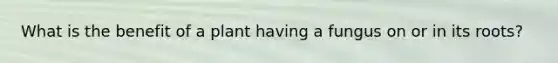 What is the benefit of a plant having a fungus on or in its roots?