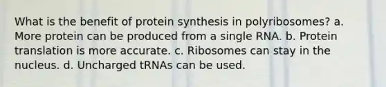 What is the benefit of <a href='https://www.questionai.com/knowledge/kVyphSdCnD-protein-synthesis' class='anchor-knowledge'>protein synthesis</a> in polyribosomes? a. More protein can be produced from a single RNA. b. Protein translation is more accurate. c. Ribosomes can stay in the nucleus. d. Uncharged tRNAs can be used.