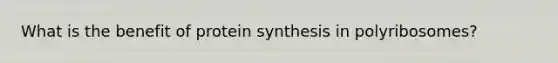 What is the benefit of protein synthesis in polyribosomes?