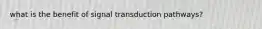 what is the benefit of signal transduction pathways?