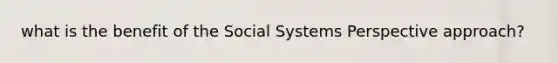 what is the benefit of the Social Systems Perspective approach?