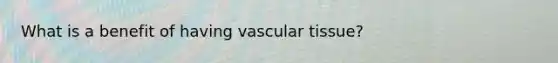 What is a benefit of having vascular tissue?