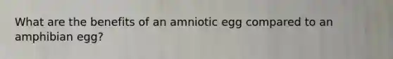 What are the benefits of an amniotic egg compared to an amphibian egg?