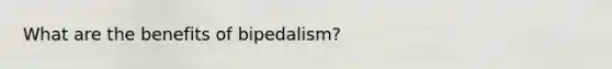 What are the benefits of bipedalism?