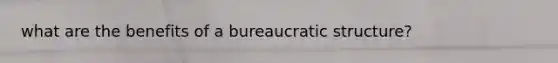 what are the benefits of a bureaucratic structure?