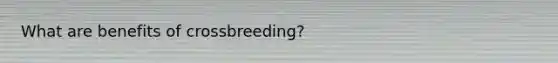 What are benefits of crossbreeding?