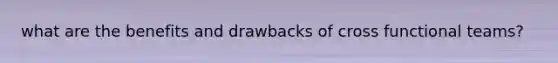 what are the benefits and drawbacks of cross functional teams?