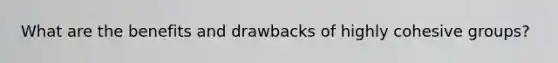 What are the benefits and drawbacks of highly cohesive groups?