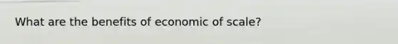 What are the benefits of economic of scale?