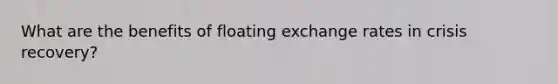 What are the benefits of floating exchange rates in crisis recovery?