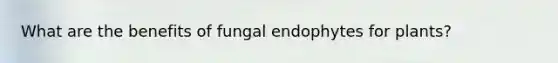 What are the benefits of fungal endophytes for plants?