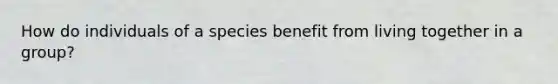 How do individuals of a species benefit from living together in a group?