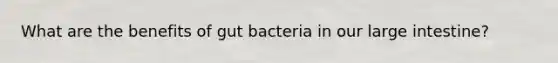 What are the benefits of gut bacteria in our large intestine?