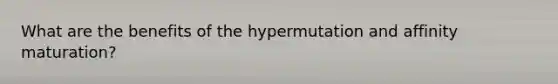 What are the benefits of the hypermutation and affinity maturation?