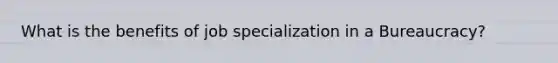 What is the benefits of job specialization in a Bureaucracy?