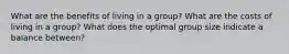 What are the benefits of living in a group? What are the costs of living in a group? What does the optimal group size indicate a balance between?