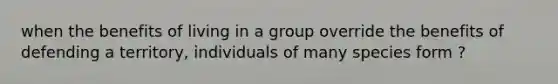 when the benefits of living in a group override the benefits of defending a territory, individuals of many species form ?