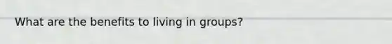 What are the benefits to living in groups?