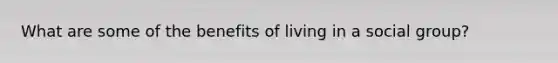 What are some of the benefits of living in a social group?