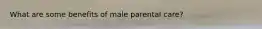 What are some benefits of male parental care?