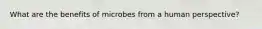 What are the benefits of microbes from a human perspective?