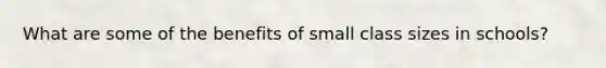 What are some of the benefits of small class sizes in schools?