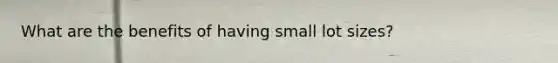 What are the benefits of having small lot sizes?