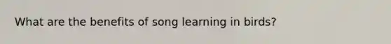 What are the benefits of song learning in birds?