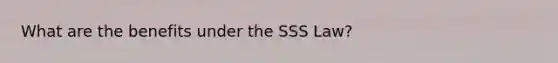 What are the benefits under the SSS Law?