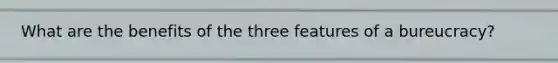 What are the benefits of the three features of a bureucracy?