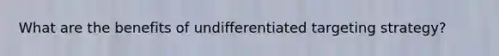 What are the benefits of undifferentiated targeting strategy?