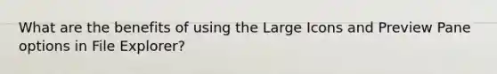 What are the benefits of using the Large Icons and Preview Pane options in File Explorer?