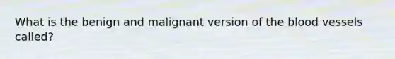 What is the benign and malignant version of the blood vessels called?